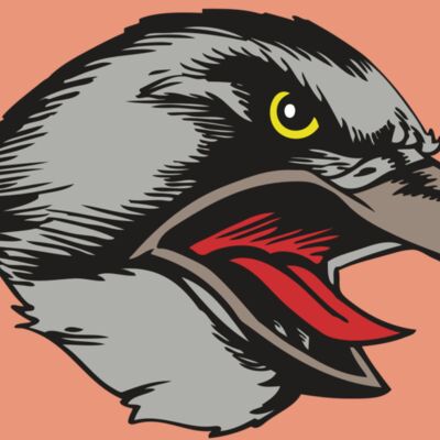 BAW HWK FLCN 13 RC Thumbnail