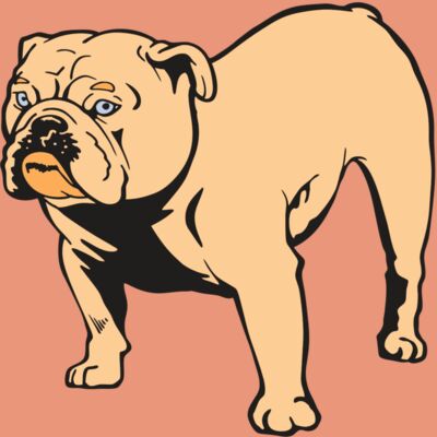 AR BDOG 85 RC Thumbnail