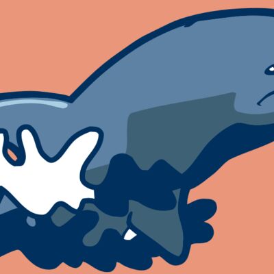 AR DOLPIN 10 RC Thumbnail