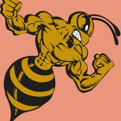 BAW BEE 01 RC Thumbnail