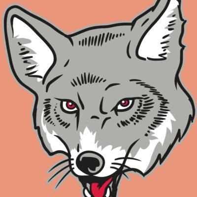 AR32 COYOTE 07 RQC Thumbnail