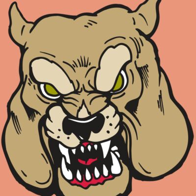 AR5 Bulldog 25 RQC Thumbnail