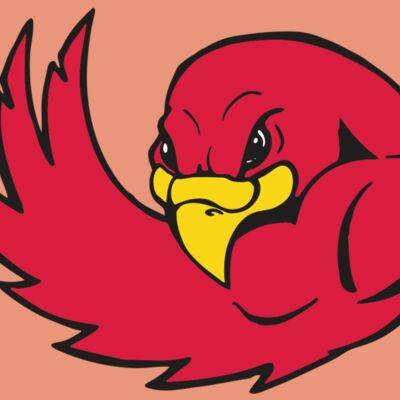 AR FALCON 18 RC Thumbnail