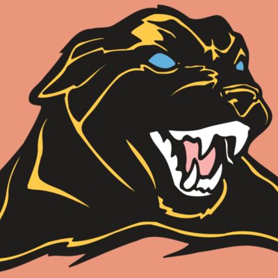 AR COUGAR 42 RC Thumbnail