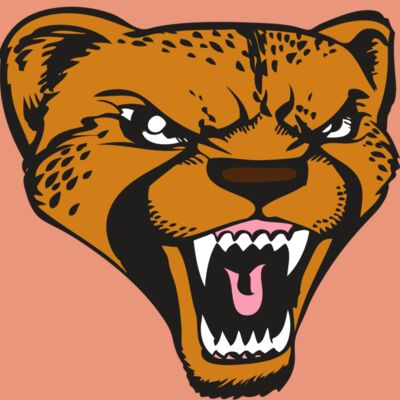 BAW CHEETAH 12 RC Thumbnail