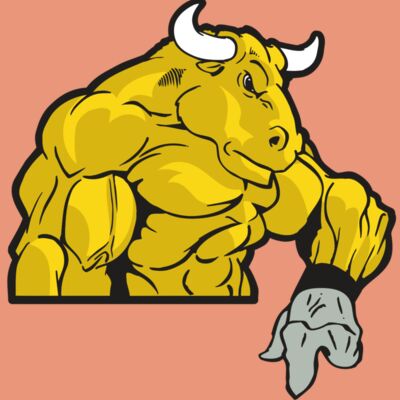 AR BULL 13 RC Thumbnail