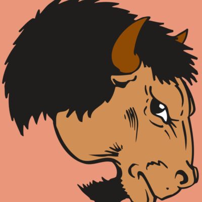 AR BUFFALO 16 RC Thumbnail