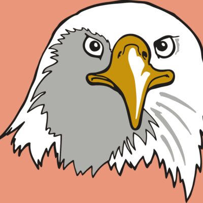 AR EAGLE 39 RC Thumbnail