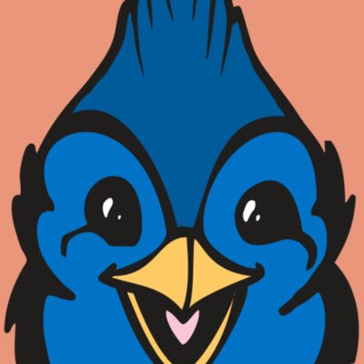 BAW BLUEJAY 19 RC Thumbnail