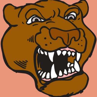 AR5 COUGAR 29 RQC Thumbnail