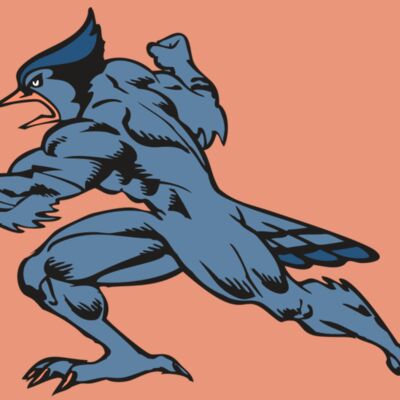 BAW BLUEJAY 15 RC Thumbnail