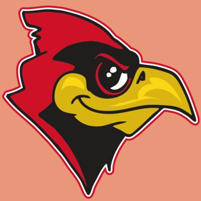 AR CARDINAL 38 RC Thumbnail