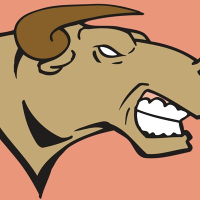 AR BULL 30 RC Thumbnail