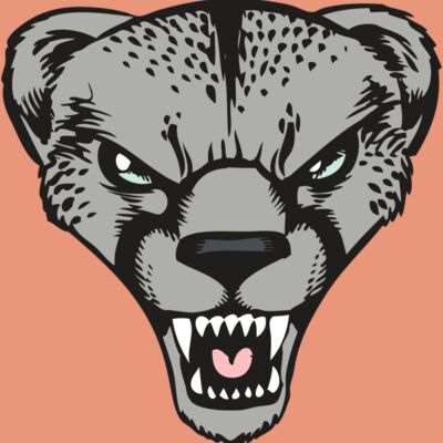 BAW CHEETAH 15 RC Thumbnail