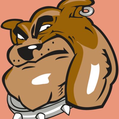 BULLDOG HD0501 RQC Thumbnail