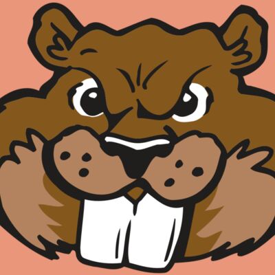 AR BEAVER 10 RC Thumbnail