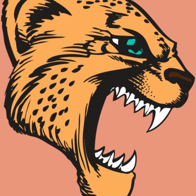 BAW CHEETAH 11 RC Thumbnail