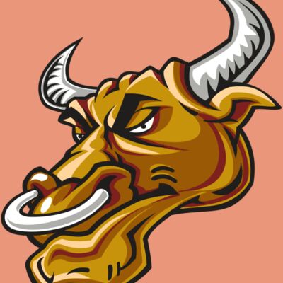 BULL HD0502 RQC Thumbnail