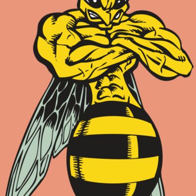 BAW BEE 16 RC Thumbnail