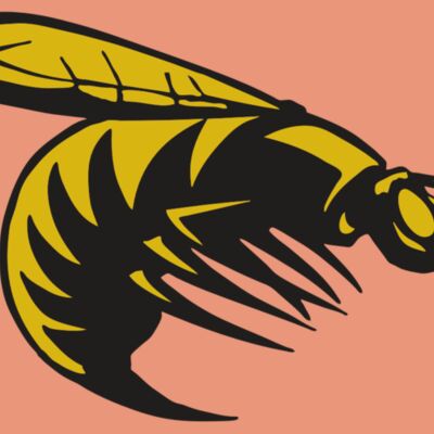 AR BEE 49 RC Thumbnail