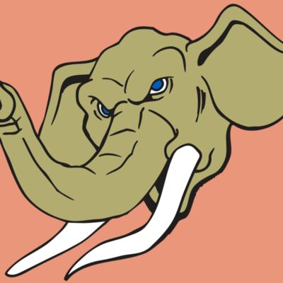 AR ELEPH 17 RC Thumbnail