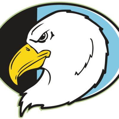 AR EAGLE 55 RC Thumbnail