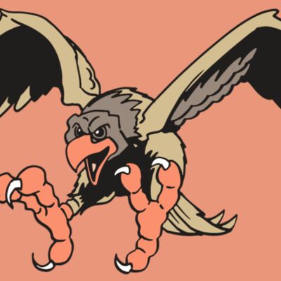 AR EAGLE 15 RC Thumbnail