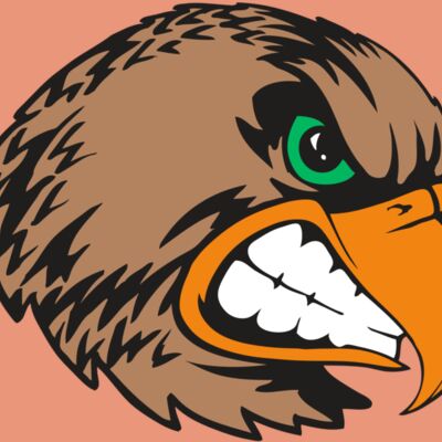 BAW HWK FLCN 09 RC Thumbnail