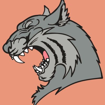 AR WILDCAT 41 RC Thumbnail