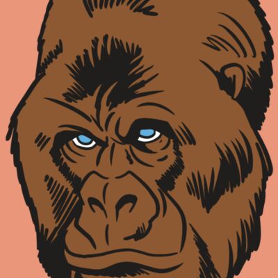 AR19 GORILLA 02 RQC Thumbnail