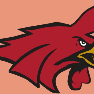 AR15 GAMECOCK 01 RQC Thumbnail