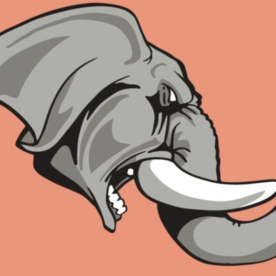 AR ELEPH 20 RC Thumbnail