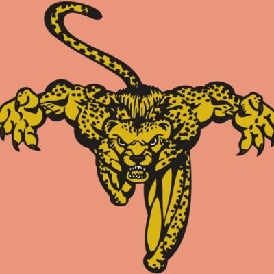 BAW CHEETAH 08 RC Thumbnail