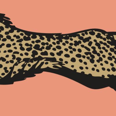 BAW CHEETAH 01 RC Thumbnail