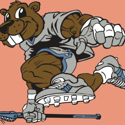 AR8 BEAVER 04 RQC Thumbnail