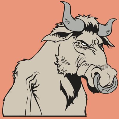 AR5 BULL 08 RQC Thumbnail