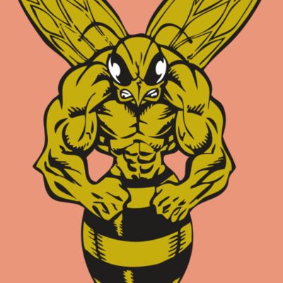 BAW BEE 06 RC Thumbnail