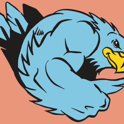 AR HAWK 24 RC Thumbnail