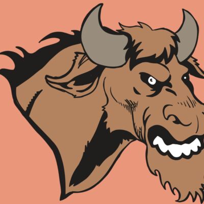 AR5 BULL 09 RQC Thumbnail