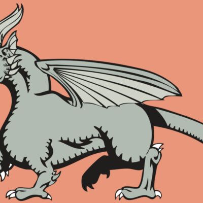 BAW DRAGON 20 RC Thumbnail