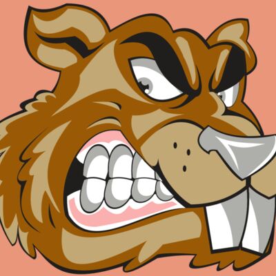 BEAVER HD0503 RQC Thumbnail