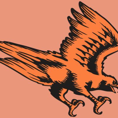 BAW HWK FLCN 04 RC Thumbnail