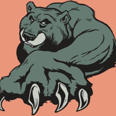 AR BEAR 26 RC Thumbnail