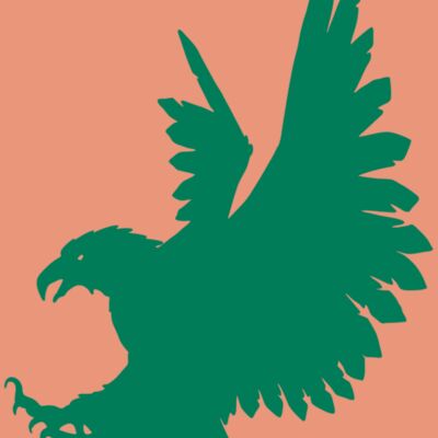 AR EAGLE 88 RC Thumbnail