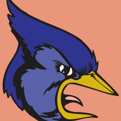 BAW BLUEJAY 04 RC Thumbnail