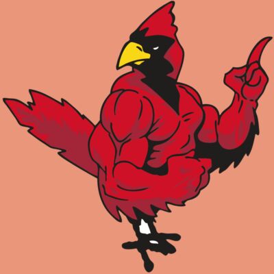 AR CARDINAL 27 RC Thumbnail