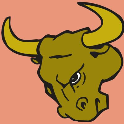 AR BULL 26 RC Thumbnail