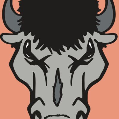 AR BUFFALO 15 RC Thumbnail