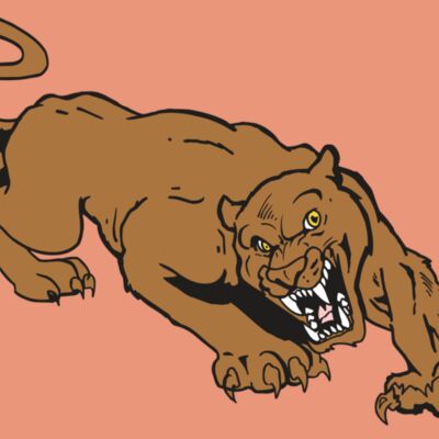 AR5 COUGAR 41 RQC Thumbnail