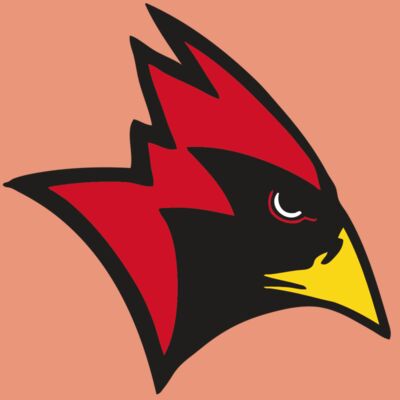 AR CARDINAL 23 RC Thumbnail